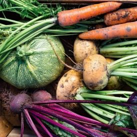 Produce, Vegetables and Herbs Category Image